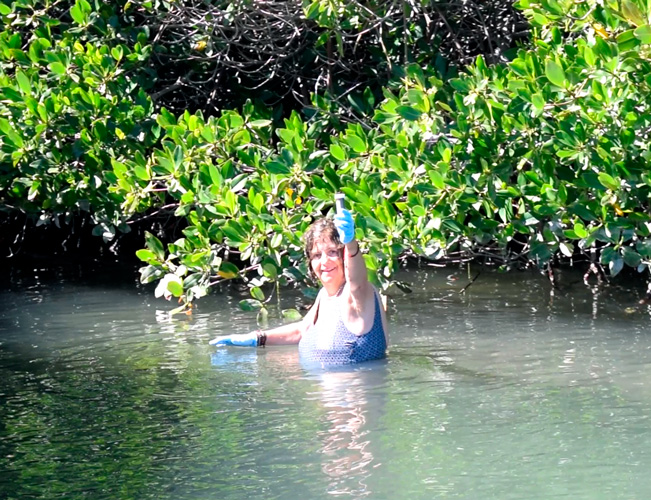 Valeria Souza Saldivar - El desarrollo del proyecto de la planta de fertilizantes se está posicionando como un ejemplo de industria sostenible que cuida y se hace responsable de promover el desarrollo económico, social y ambiental de la región. Valeria Souza Saldivar - El desarrollo del proyecto de la planta de fertilizantes se está posicionando como un ejemplo de industria sostenible que cuida y se hace responsable de promover el desarrollo económico, social y ambiental de la región.