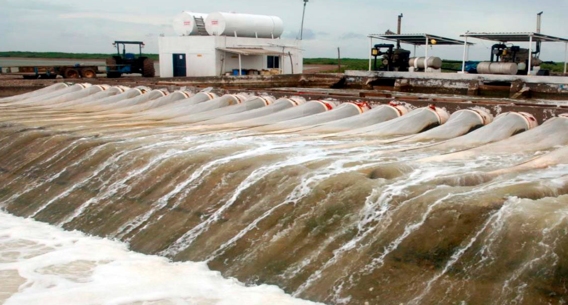 Inclusive, es importante destacar que el proyecto contempla incorporar un diseño mejorado del actual Sistema de Exclusión de Fauna Acuática (SEFA) que se utiliza en proyectos acuícolas. Con esta medida se minimiza cualquier afectación a la flora y fauna acuática. Es decir, no impactará negativamente. Inclusive, es importante destacar que el proyecto contempla incorporar un diseño mejorado del actual Sistema de Exclusión de Fauna Acuática (SEFA) que se utiliza en proyectos acuícolas. Con esta medida se minimiza cualquier afectación a la flora y fauna acuática. Es decir, no impactará negativamente.